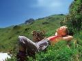 Erlebnis-Comfort Camping Aufenfeld in Aschau