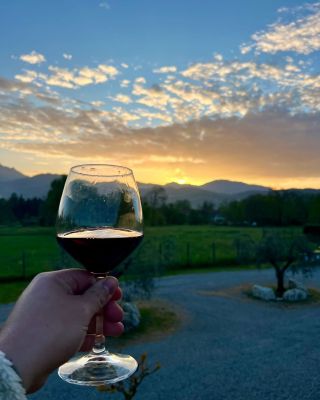 La Cantina del Vino Barga <br />
<b>Warning</b>:  Undefined variable $ortausgabe in <b>/home/www/camping-book/italia/gastgeber/suchedetails.php</b> on line <b>112</b><br />
 Garfagnana Bild 1