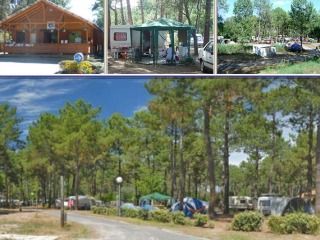 Camping de Maubuisson <br />
<b>Warning</b>:  Undefined variable $ortausgabe in <b>/home/www/camping-book/france/gastgeber/suchedetails.php</b> on line <b>110</b><br />
 Gironde Bild 1