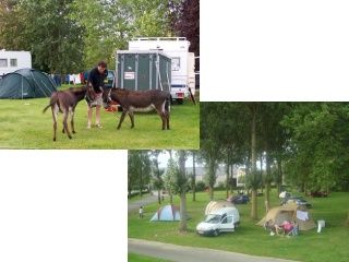 Camping Les tendi&egrave;res <br />
<b>Warning</b>:  Undefined variable $ortausgabe in <b>/home/www/camping-book/france/gastgeber/suchedetails.php</b> on line <b>212</b><br />
 Bretagne Bild 2