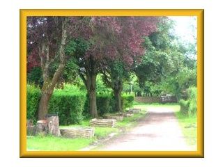SalixCamp <br />
<b>Warning</b>:  Undefined variable $ortausgabe in <b>/home/www/camping-book/france/gastgeber/suchedetails.php</b> on line <b>212</b><br />
 Nivernaise Bild 2