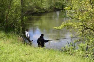 Camping l'eau vive <br />
<b>Warning</b>:  Undefined variable $ortausgabe in <b>/home/www/camping-book/france/gastgeber/suchedetails.php</b> on line <b>110</b><br />
 Gironde Bild 1