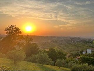 Family Farm Gobbi Winery <br />
<b>Warning</b>:  Undefined variable $ortausgabe in <b>/home/www/camping-book/italia/gastgeber/suchedetails.php</b> on line <b>214</b><br />
 Romagna Bild 2