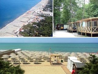 Camping St.Michael  iNTERNATIONAL  <br />
<b>Warning</b>:  Undefined variable $ortausgabe in <b>/home/www/camping-book/italia/gastgeber/suchedetails.php</b> on line <b>112</b><br />
 Pisa Bild 1