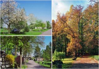 Campingplatz Hermannseck <br />
<b>Warning</b>:  Undefined variable $ortausgabe in <b>/home/www/camping-book/gastgeber/suchedetails.php</b> on line <b>110</b><br />
 Unstrut-Triasland Bild 1