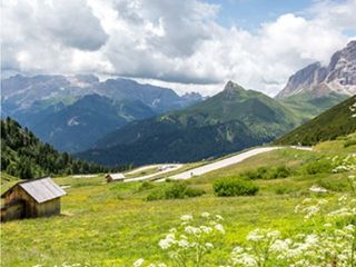 Catinaccio Rosengarten <br />
<b>Warning</b>:  Undefined variable $ortausgabe in <b>/home/www/camping-book/italia/gastgeber/suchedetails.php</b> on line <b>112</b><br />
 Val di Fassa Bild 1