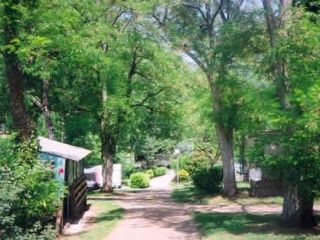 Les Platanes (Camping ferm&eacute;) <br />
<b>Warning</b>:  Undefined variable $ortausgabe in <b>/home/www/camping-book/france/gastgeber/suchedetails.php</b> on line <b>110</b><br />
 Landes Bild 1