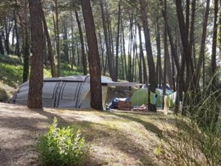 Club Le Ruou <br />
<b>Warning</b>:  Undefined variable $ortausgabe in <b>/home/www/camping-book/france/gastgeber/suchedetails.php</b> on line <b>110</b><br />
 Var Bild 1
