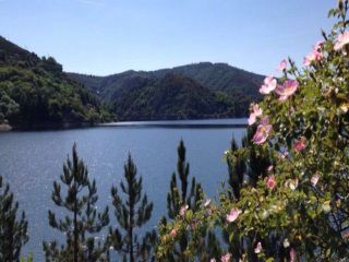 Camping La Palh&egrave;re <br />
<b>Warning</b>:  Undefined variable $ortausgabe in <b>/home/www/camping-book/france/gastgeber/suchedetails.php</b> on line <b>212</b><br />
 Lozère Bild 2